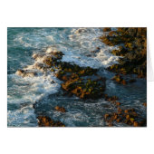 海が岩に出会う場所 (正面横)