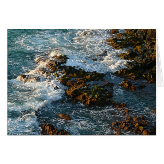 海が岩に出会う場所 (正面横)