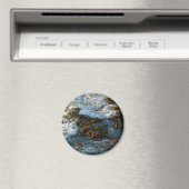 海が岩に出会う場所 マグネット (インサイチュ (食洗機))