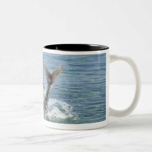 海ではねかけている魚 ツートーンマグカップ (右)