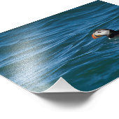 海でパフィン フォトプリント            (角)