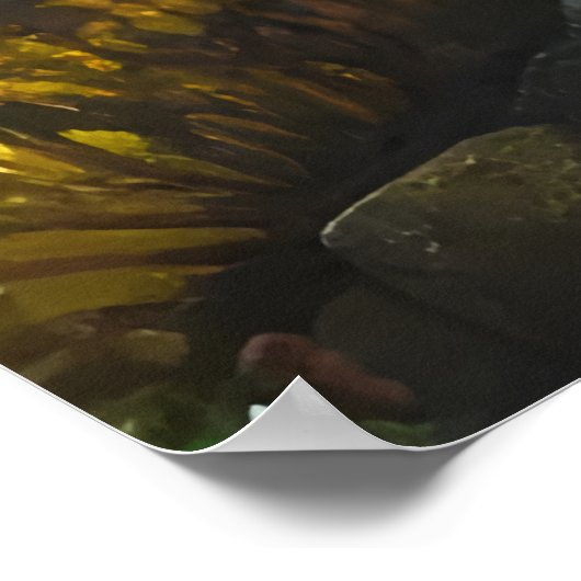 海で泳ぐ魚 | AI Art ポスター (角)