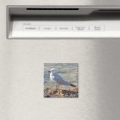 海で美しいカモメ – 磁石 (インサイチュ (食洗機))