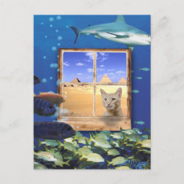 海で魚を見る猫 ポストカード