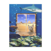 海で魚を見る猫