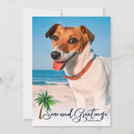 海とグリーティングコーストクリスマスクリスマスカード3-Photo シーズンカード (正面)