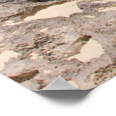 海とジャングル ポスター (角)