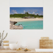 海とジャングル ポスター (キッチン)