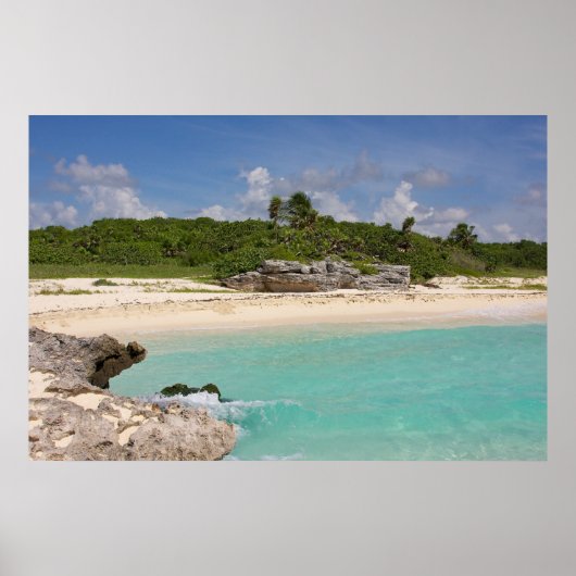 海とジャングル ポスター (正面)