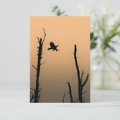 海とワシの野生生物の写真 カード (スタンド正面)