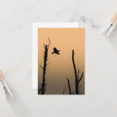 海とワシの野生生物の写真 カード (正面/裏面インサイチュ)