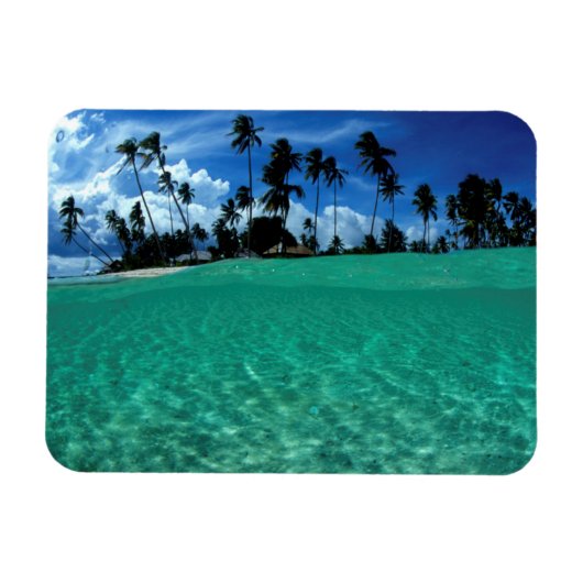 海と島 インドネシア マグネット (横)
