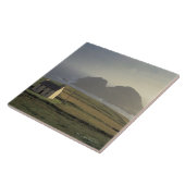 海による丘のコテッジの空中写真 タイル (側面)