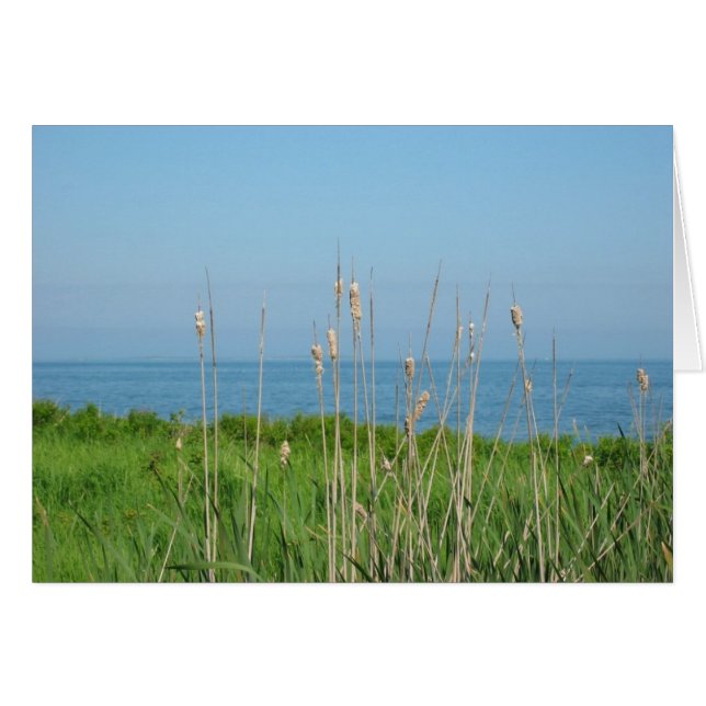 海による会話 (正面横)