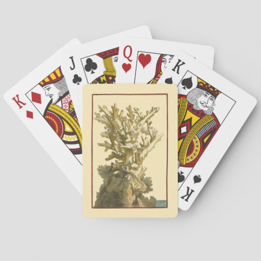 海による珊瑚 トランプ (裏面)