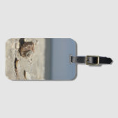 海による砂の貝殻 ラゲッジタグ (正面横)