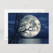 海に月を浮かべた3Dランドスケープ背景 ポストカード (正面/裏面)
