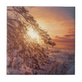 海に沈む夕日と松の木 タイル (正面)