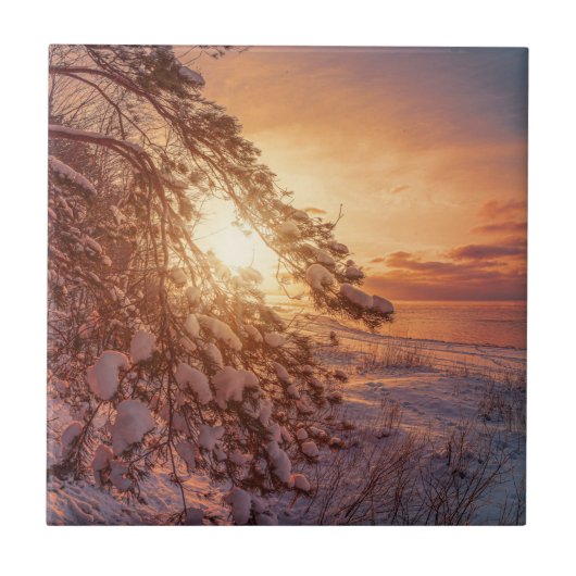 海に沈む夕日と松の木 タイル (正面)