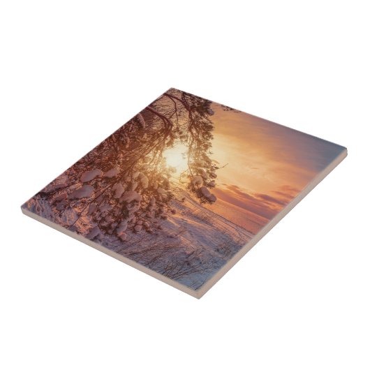 海に沈む夕日と松の木 タイル (側面)