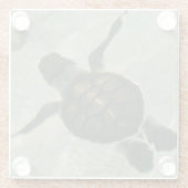 海に泳いでいるベビーのウミガメ ガラスコースター (裏面)