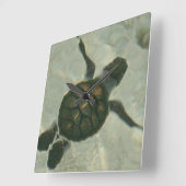 海に泳いでいるベビーのウミガメ スクエア壁時計 (傾斜)