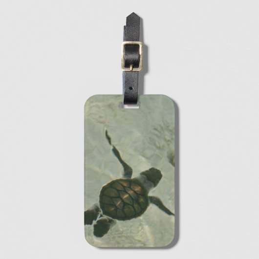 海に泳いでいるベビーのウミガメ ラゲッジタグ (正面縦)