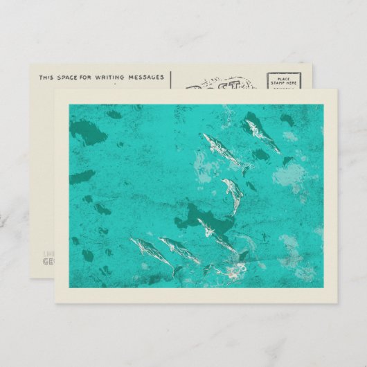 海に浮かぶカリブのイルカ ポストカード (正面/裏面)