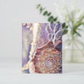 海に浮かぶ紫の絵画貝殻 (スタンド正面)