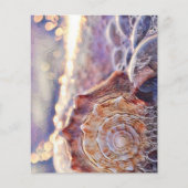 海に浮かぶ紫の絵画貝殻 (正面)