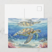 海に潜むカウアイ島のアカウミガメ ポストカード (正面/裏面)