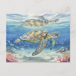 海に潜むカウアイ島のアカウミガメ ポストカード