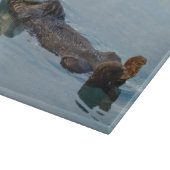 海に背中に浮かぶウミガメ カッティングボード (角)