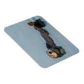 海に背中に浮かぶウミガメ マグネット (右側)