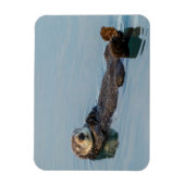 海に背中に浮かぶウミガメ マグネット (縦)