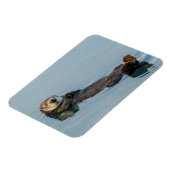 海に背中に浮かぶウミガメ マグネット (左側)