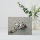 海に迷った赤いバラ ポストカード (スタンド正面)