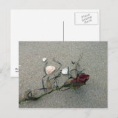 海に迷った赤いバラ ポストカード (正面/裏面)