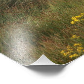 海のそばの4頭の馬 フォトプリント            (角)