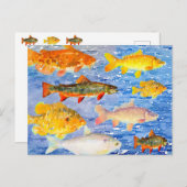 海のはがきに大量の魚 ポストカード (正面/裏面)