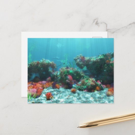 海のはがきの花 ポストカード (正面/裏面インサイチュ)