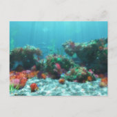 海のはがきの花 ポストカード (正面)