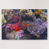 海のアネモネと熱帯魚。 ジグソーパズル (横)