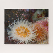 海のアネモネス。 ジグソーパズル (横)