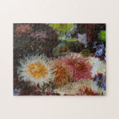 海のアネモネス。 ジグソーパズル (横)