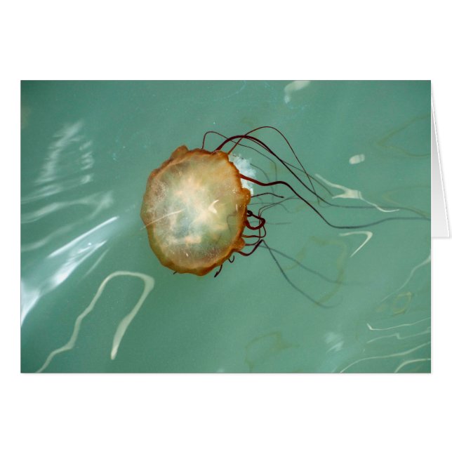 海のイラクサのくらげのFrameableの芸術カード (正面横)