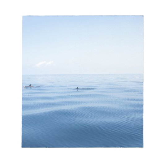 海のイルカ ノートパッド (正面)