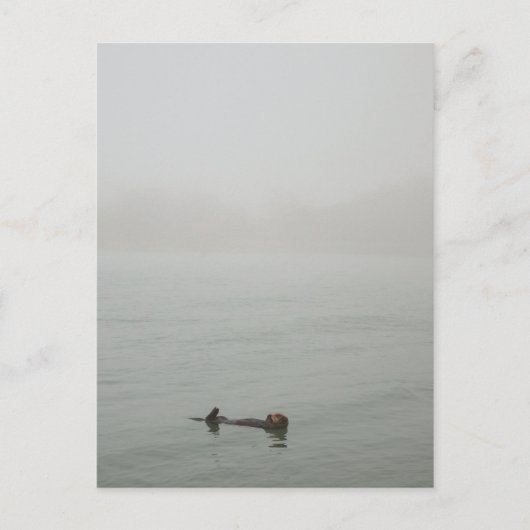 海のオッターが霧の中で ポストカード (正面)