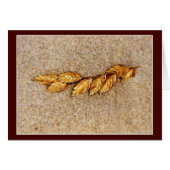 海のオーツと砂 (正面横)