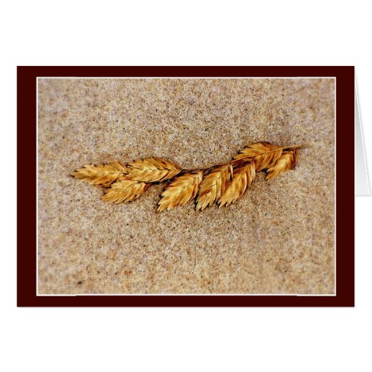 海のオーツと砂 (正面横)